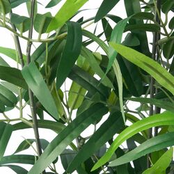 Planta artificiala Ikea interior/exterior 23 cm (Bambus) Thumb