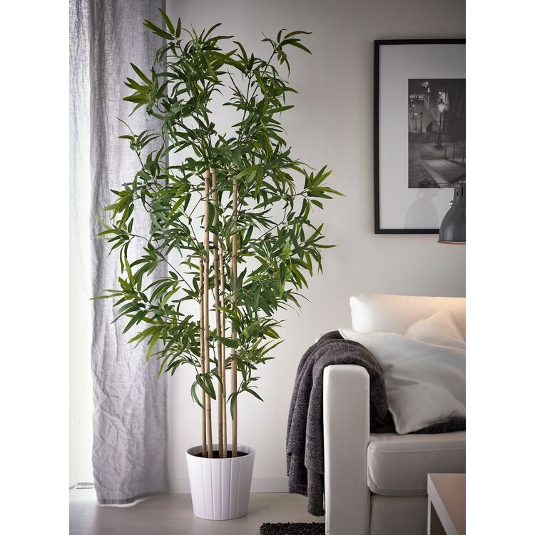 Planta artificiala Ikea Fejka interior/exterior 23cm (Bambus) cumpr n  Chiinu, Moldova | SMADSHOP.MD