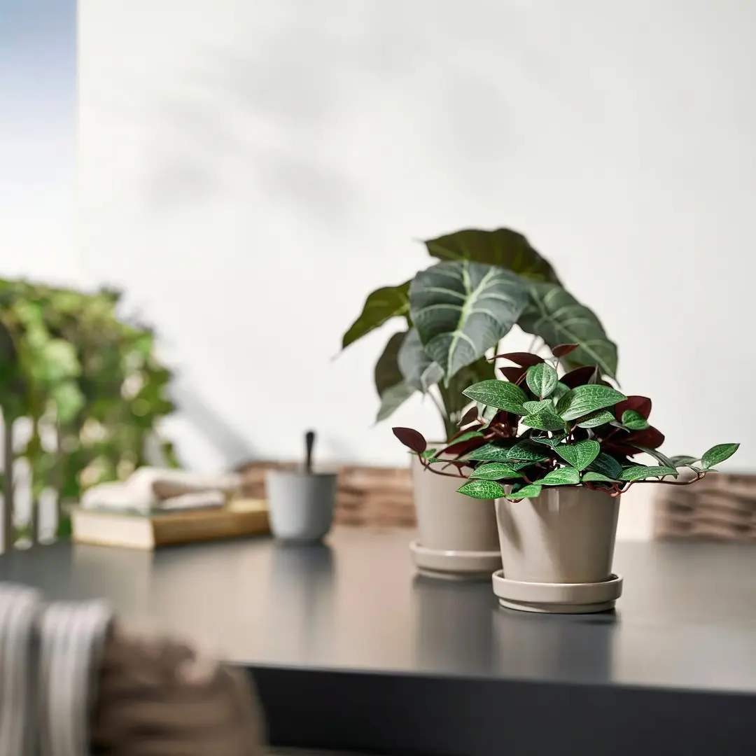 Растение искусственное Ikea Fejka для дома/улицы 9cm (Лудисия)