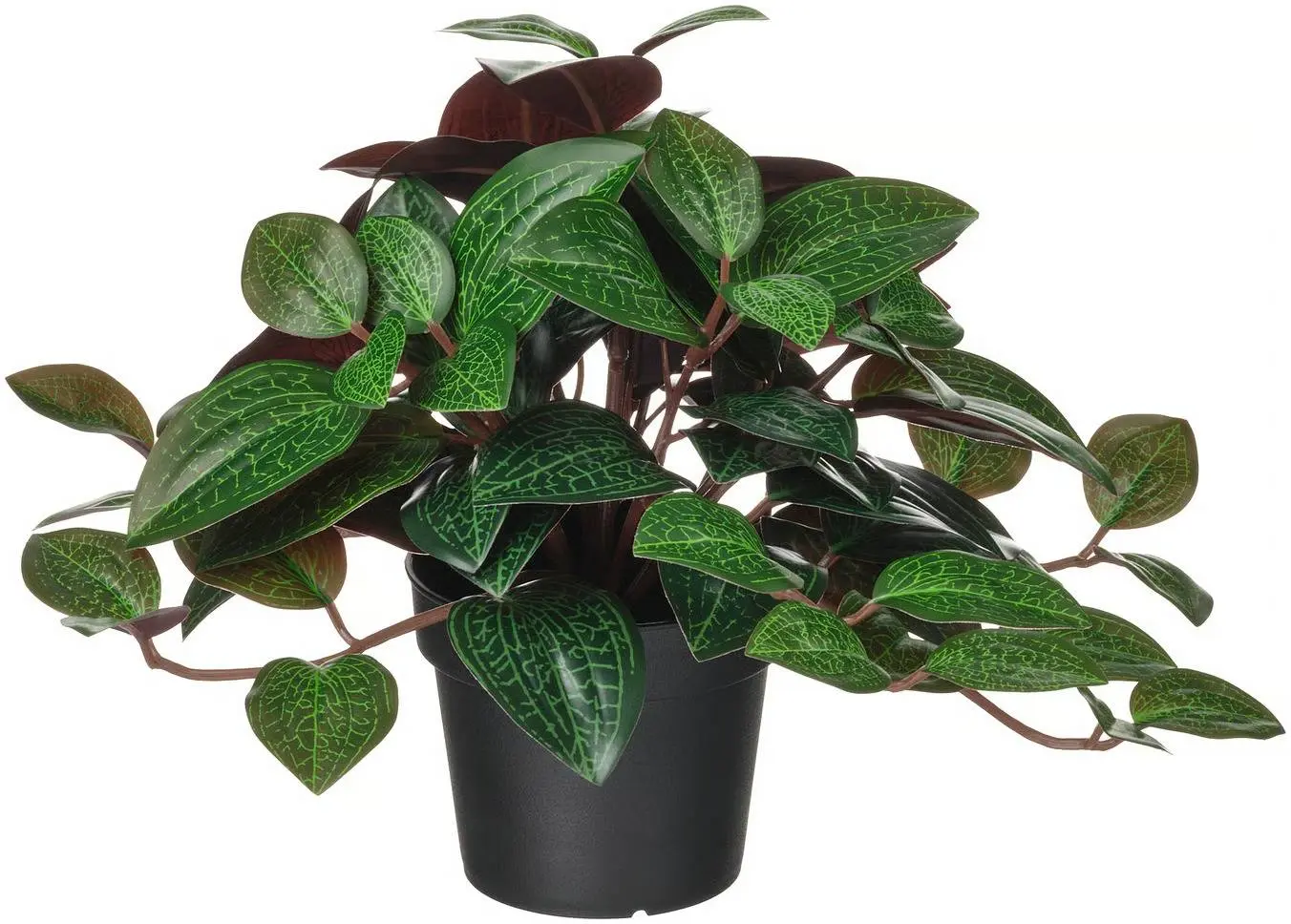 Растение искусственное Ikea Fejka для дома/улицы 9cm (Лудисия)