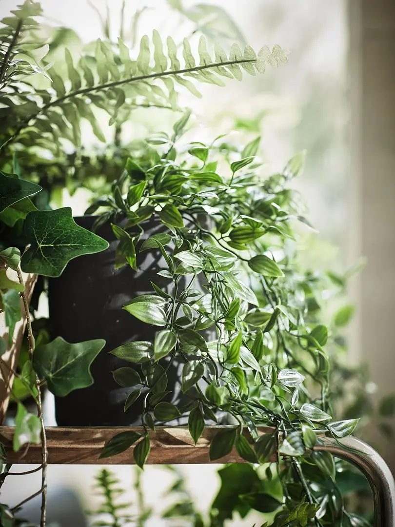 Растение искусственное Ikea Fejka для дома/улицы 9cm (Подвесной)