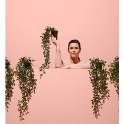 Растение искусственное Ikea Fejka для дома/улицы 9cm (Подвесной) Thumb