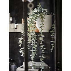 Planta artificiala Ikea Fejka interior/exterior 9cm (Suspendat Eucalipt) Thumb