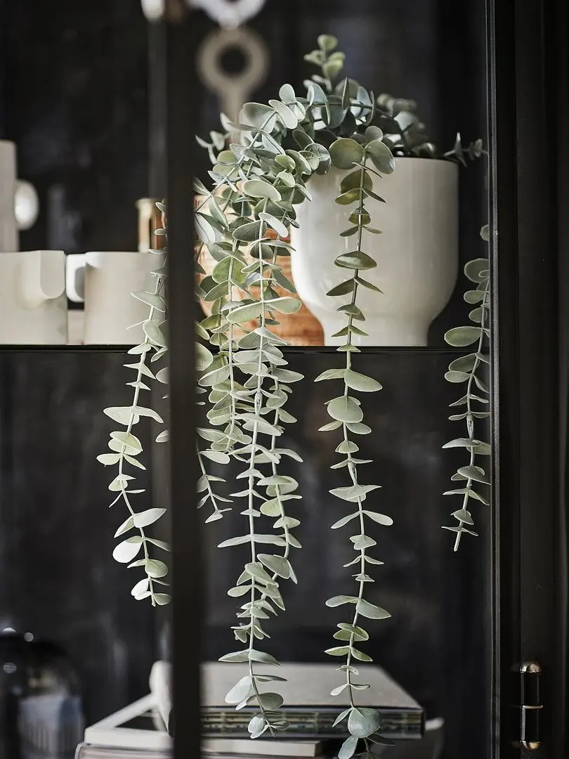 Planta artificiala Ikea Fejka interior/exterior 9cm (Suspendat Eucalipt) - 6