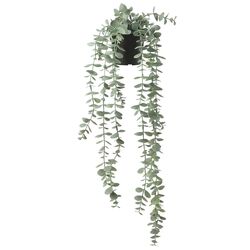 Planta artificiala Ikea Fejka interior/exterior 9cm (Suspendat Eucalipt)