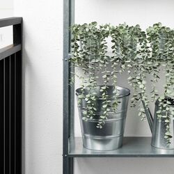 Planta artificiala Ikea Fejka interior/exterior 9cm (Suspendat Eucalipt) Thumb