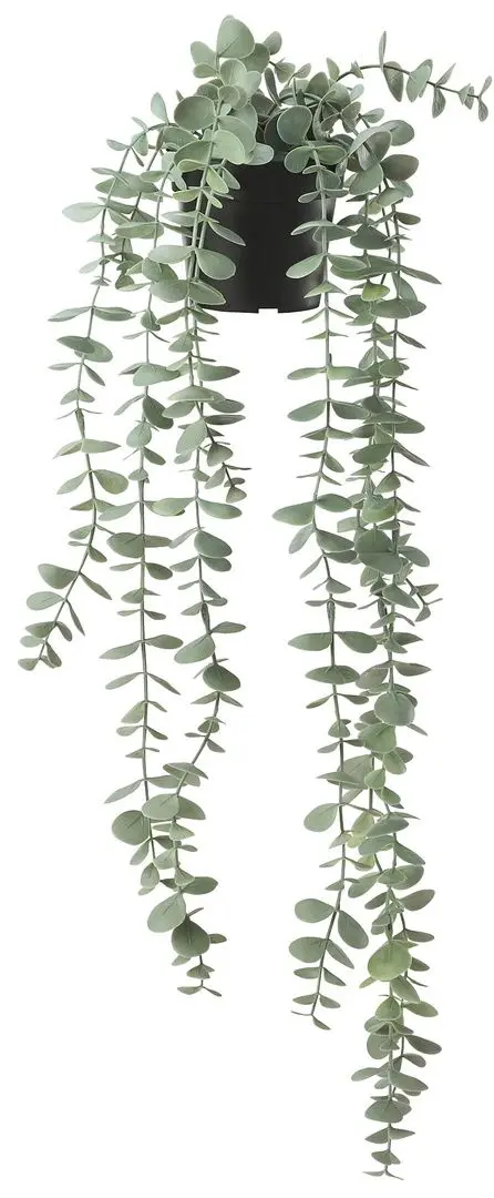 Planta artificiala Ikea Fejka interior/exterior 9cm (Suspendat Eucalipt)