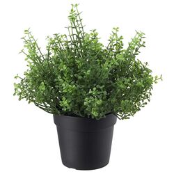 Planta artificiala Ikea Fejka interior/exterior 9cm (Soleirolia)