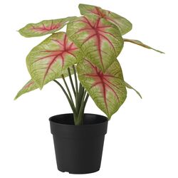 Planta artificiala Ikea Fejka interior/exterior 9cm (Taro)
