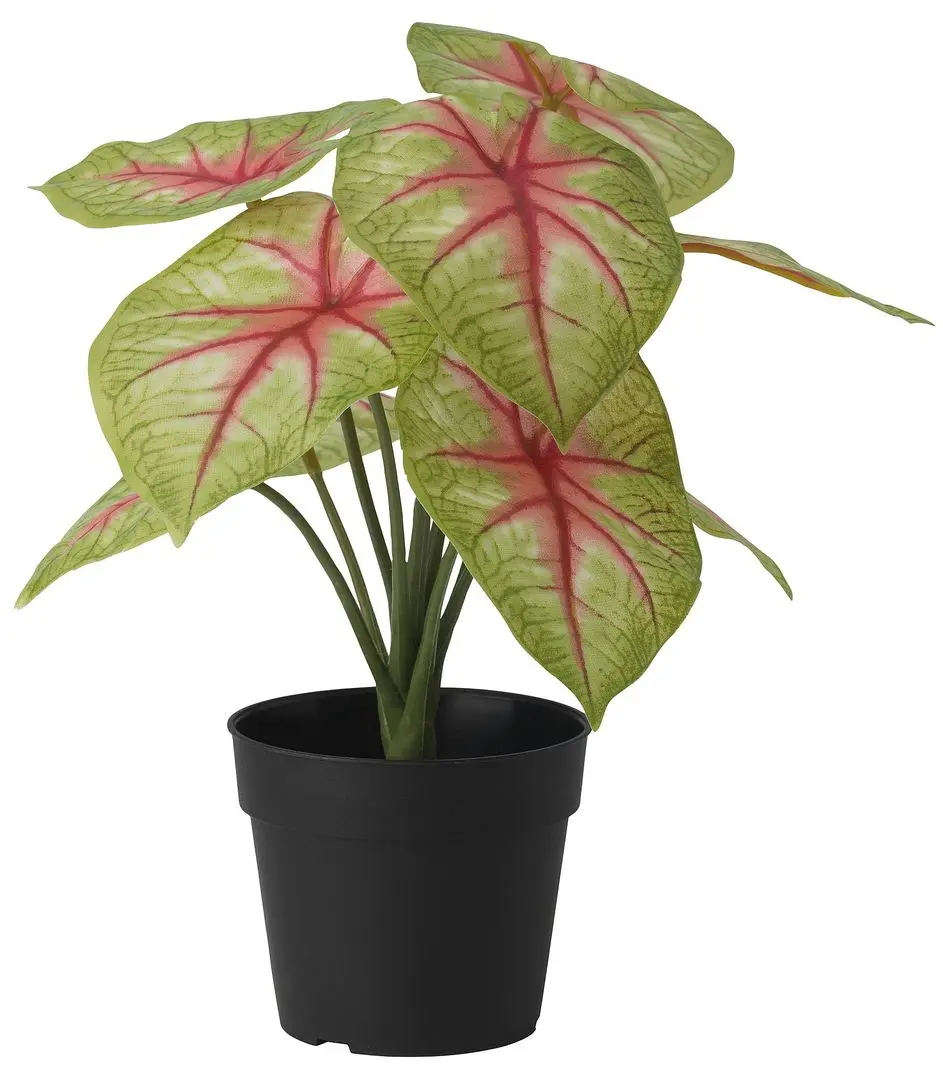 Planta artificiala Ikea Fejka interior/exterior 9cm (Taro)