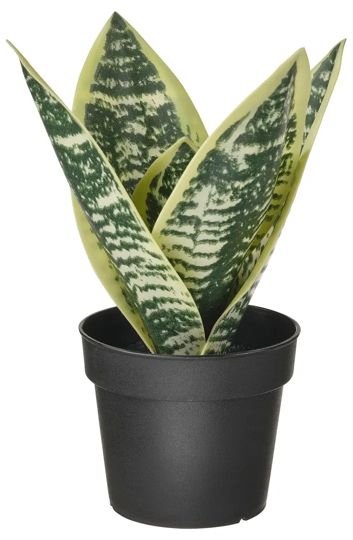 Planta artificiala Ikea Fejka interior/exterior 9cm (Săbiuţa Sanseveria)
