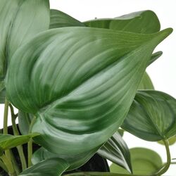 Planta artificiala Ikea Fejka interior/exterior (Golden Pothos) Thumb