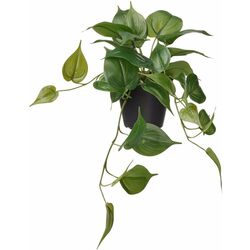 Planta artificiala Ikea Fejka interior/exterior (Golden Pothos)