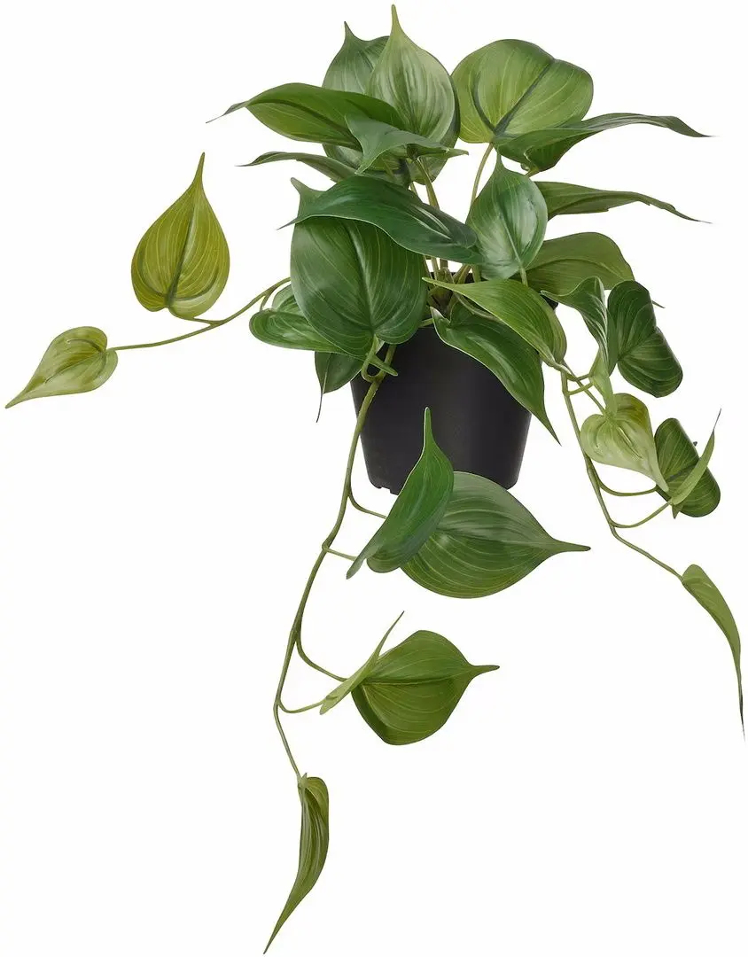 Planta artificiala Ikea Fejka interior/exterior (Golden Pothos)