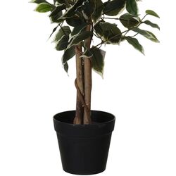 Copac artificial Progarden 49437 115cm (Ficus) Thumb