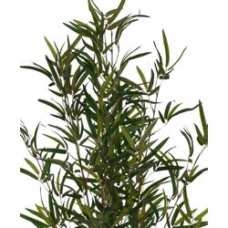 Copac artificial H&S 49451 90cm (Bambus) Thumb