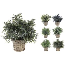 Planta artificiala ProGarden 49434 Thumb