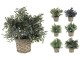 Planta artificiala NVT 49434