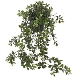 Искусственное растение ProGarden 49438 50см (Green) Thumb