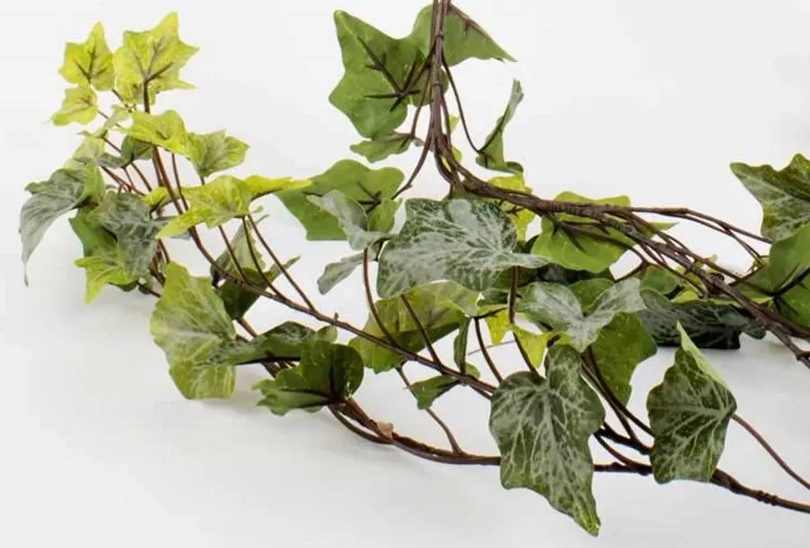 Planta artificiala H&S 49447 80cm (Green)