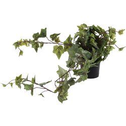 Planta artificiala H&S 49447 80cm (Green)