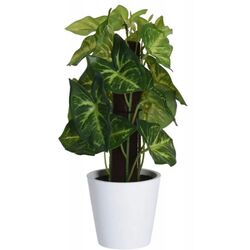 Planta artificiala H&S 25870 25cm (Monstera) Thumb