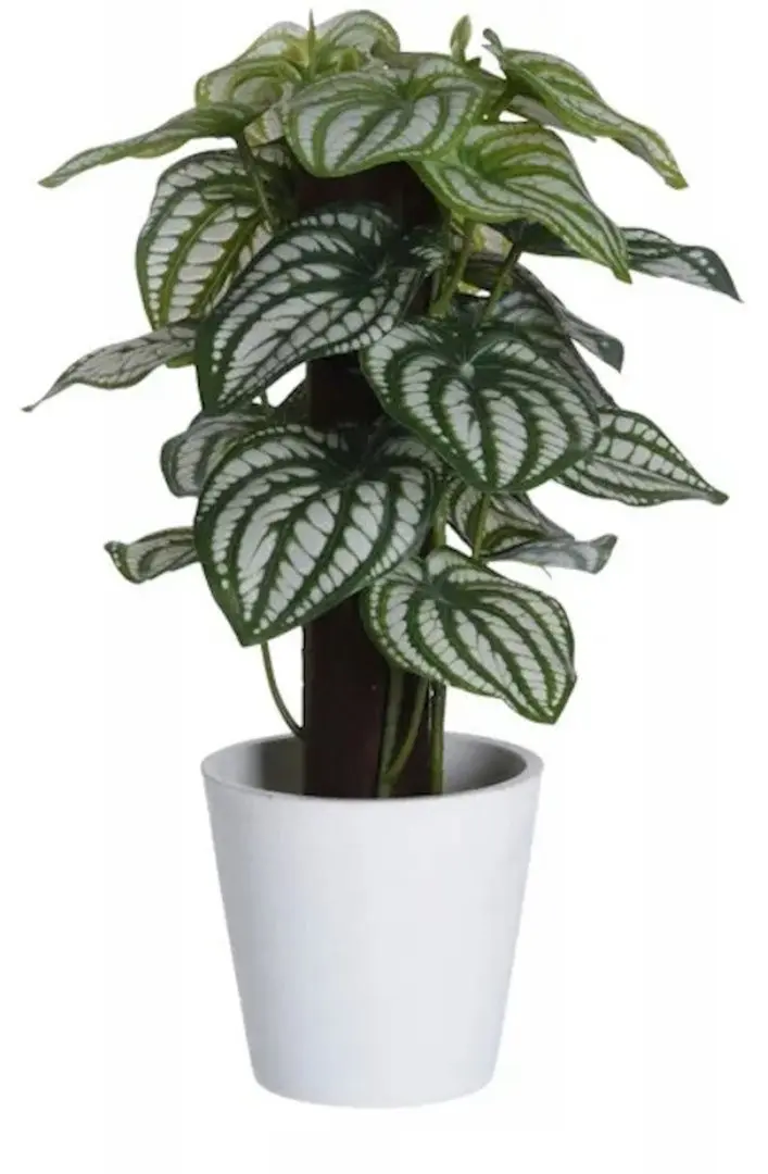 Planta artificiala H&S 25870 25cm (Monstera)