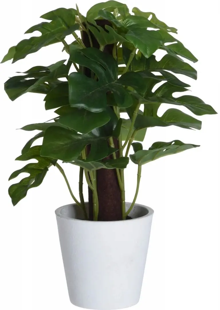 Planta artificiala H&S 25870 25cm (Monstera)