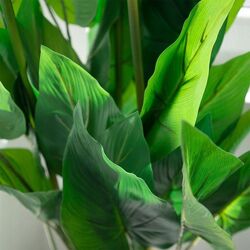 Planta artificiala H&S 27951 97cm (Cala) Thumb