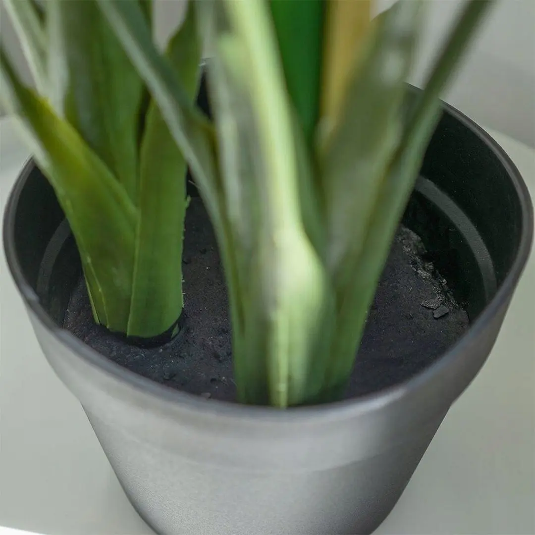 Planta artificiala H&S 27951 97cm (Cala)