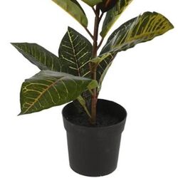 Planta artificiala H&S 27954 65cm (Calatya) Thumb