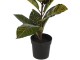 Planta artificiala NVT 27954 65cm (Calatya)