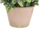 Planta artificiala NVT 49427 22cm (Green)