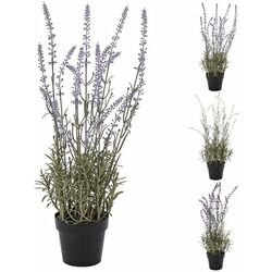 Planta artificiala H&S 49442 (Lavender) Thumb