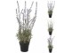 Planta artificiala NVT 49442 (Lavender)