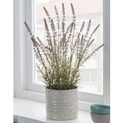 Planta artificiala H&S 49442 (Lavender) Thumb