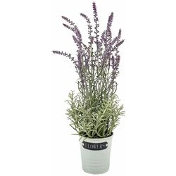 Planta artificiala H&S 49443 (Lavender) Thumb