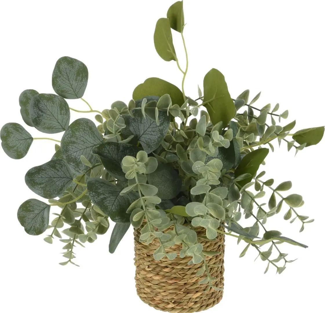 Растение искусственное H&S 49445 30см (Эвкалипт) - 2