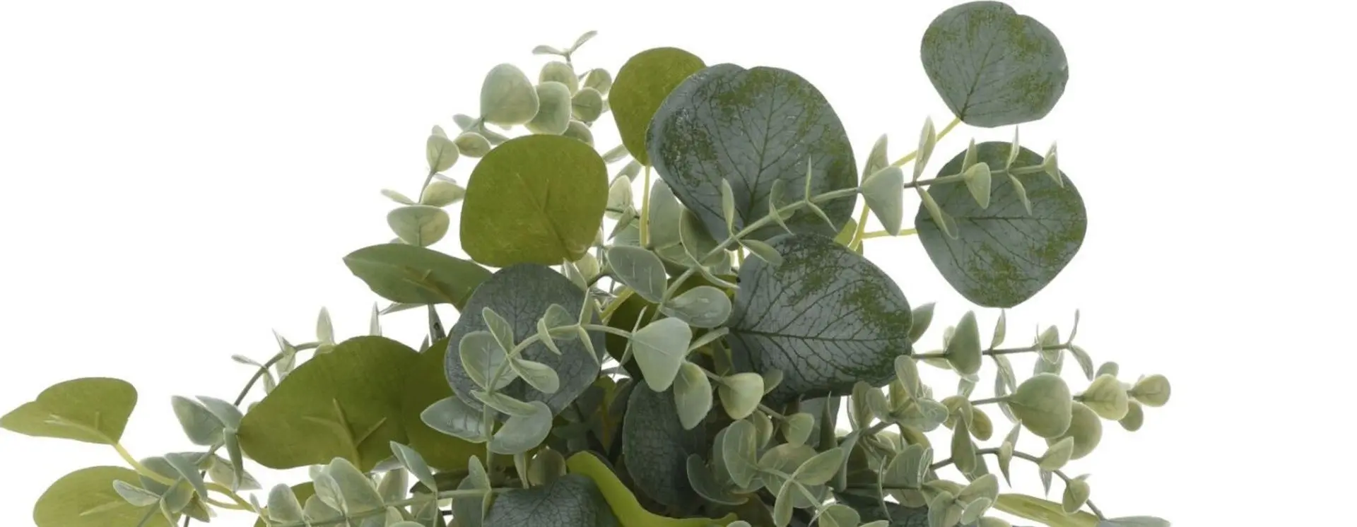 Растение искусственное H&S 49445 30см (Эвкалипт) - 3