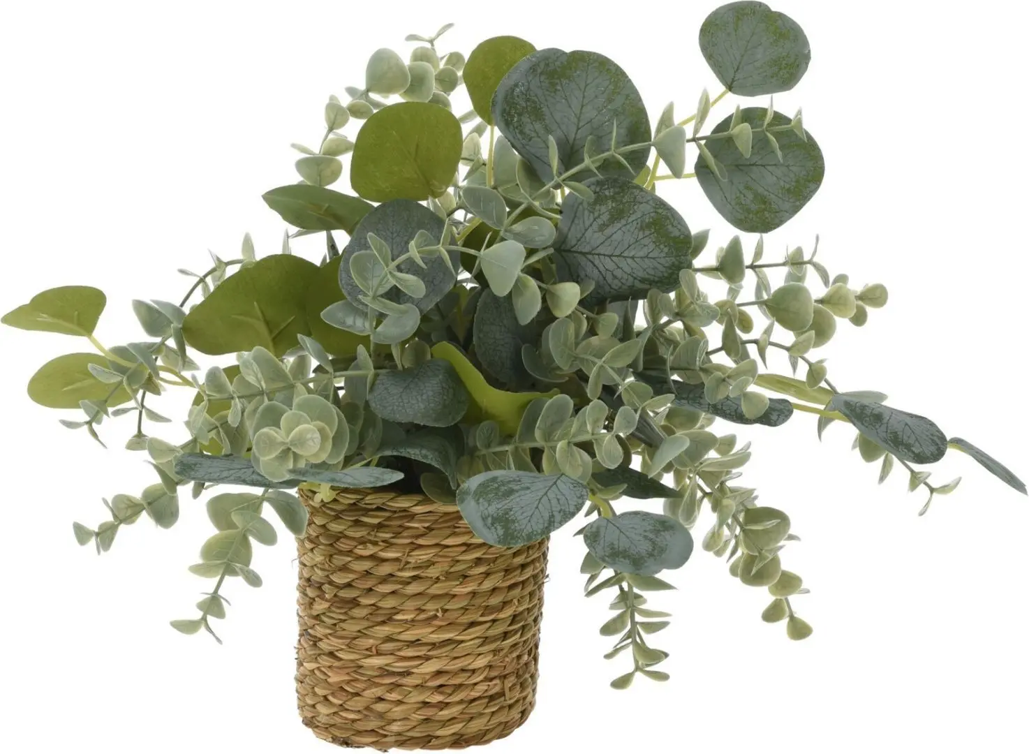 Растение искусственное H&S 49445 30см (Эвкалипт)