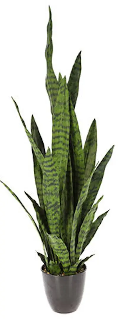 Растение искусственное H&S 49465 92см (Сансевьерия)
