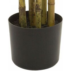 Copac artificial Bamboo 163cm (Green) Thumb