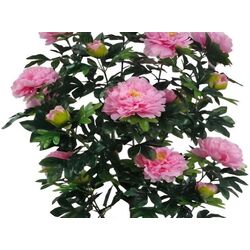 Copac artificial T316 1.75m (Green/Pink) Thumb