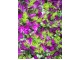 Искусственное растение DIY-AP-54 40x60 (Green/Purple)