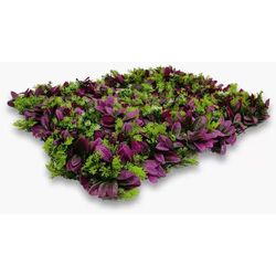 Panou decorativ DIY-AP-54 40x60 (Green/Purple) Thumb
