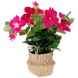 Planta artificiala Seagrass 35cm Thumb