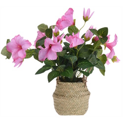 Planta artificiala Seagrass 35cm Thumb