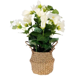 Planta artificiala Seagrass 35cm