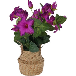 Planta artificiala Seagrass 35cm Thumb