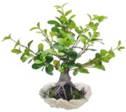 Planta artificiala T209 65cm (Green)